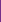 Purple divider 